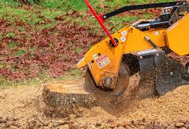 Lawn Irrigation Installation and Maintenance in Lakeland Village, CA